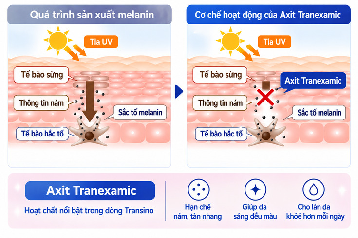 Oco-che-hoat-dong-cua-hoat-chat-axit-tranexamic-1.jpg